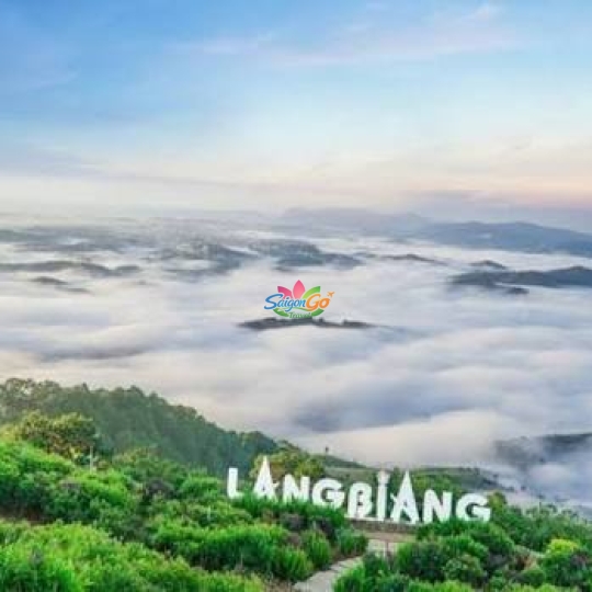 TOUR ĐOÀN ĐÀ LẠT 3 NGÀY 3 ĐÊM