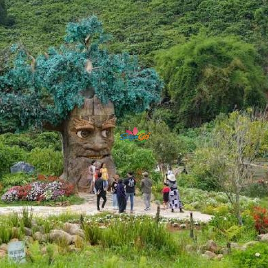 TOUR ĐOÀN ĐÀ LẠT 3 NGÀY 2 ĐÊM