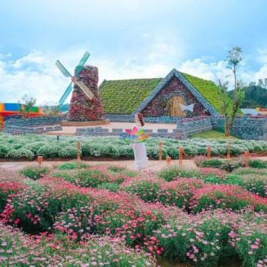 TOUR ĐOÀN ĐÀ LẠT 3 NGÀY 2 ĐÊM
