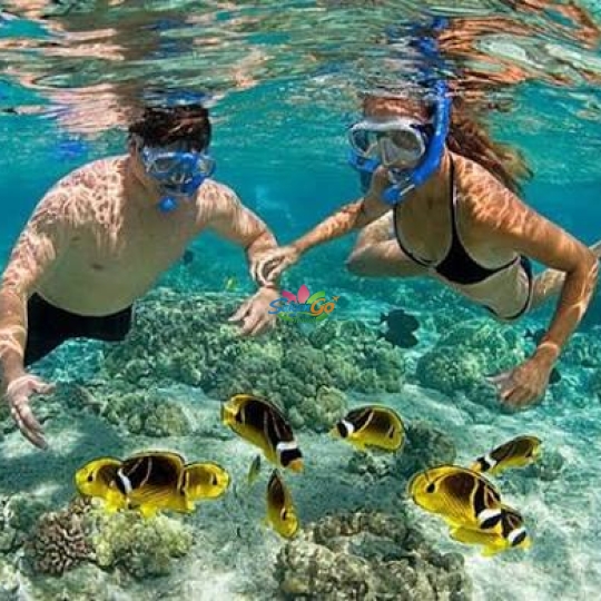 TOUR ĐOÀN PHÚ QUỐC 3 NGÀY 3 ĐÊM