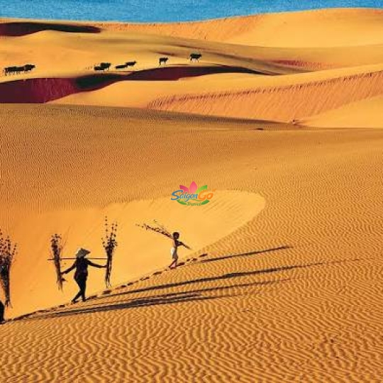 TOUR ĐOÀN PHAN THIẾT 2 NGÀY 1 ĐÊM