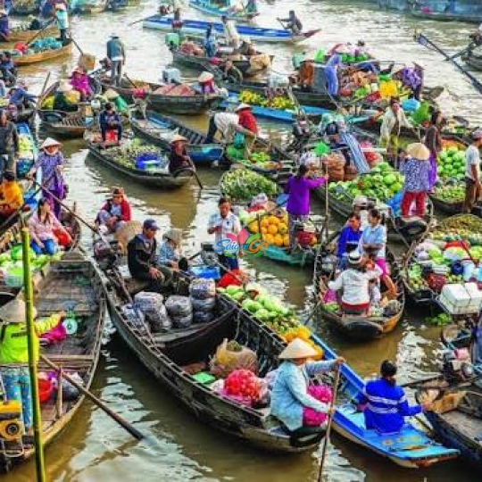 TOUR ĐOÀN CẦN THƠ 2 NGÀY 1 ĐÊM