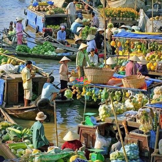 TOUR ĐOÀN CẦN THƠ 2 NGÀY 1 ĐÊM