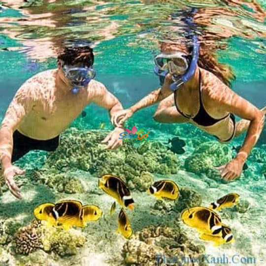 TOUR TP.HCM - PHÚ QUỐC 3 NGÀY 2 ĐÊM