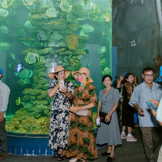 TOUR ĐOÀN BÌNH HƯNG - NHA TRANG 4N3Đ