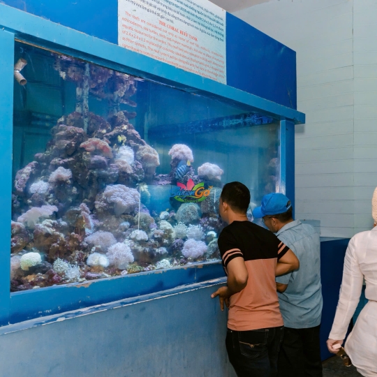 TOUR ĐOÀN BÌNH HƯNG - NHA TRANG 4N3Đ