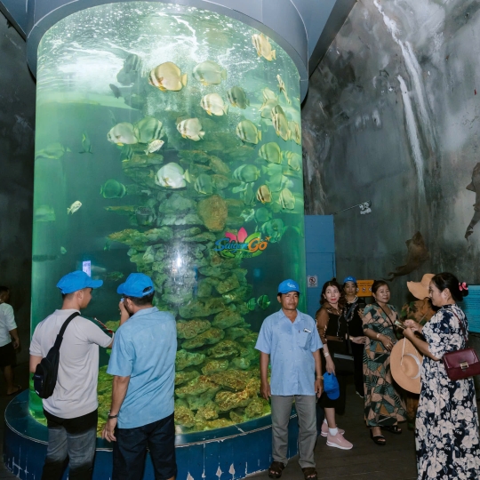 TOUR ĐOÀN BÌNH HƯNG - NHA TRANG 4N3Đ